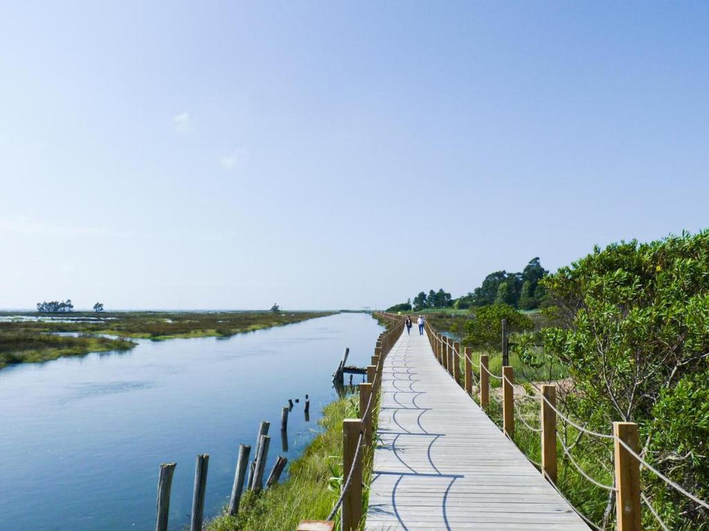 Passadiços da Ria - 16