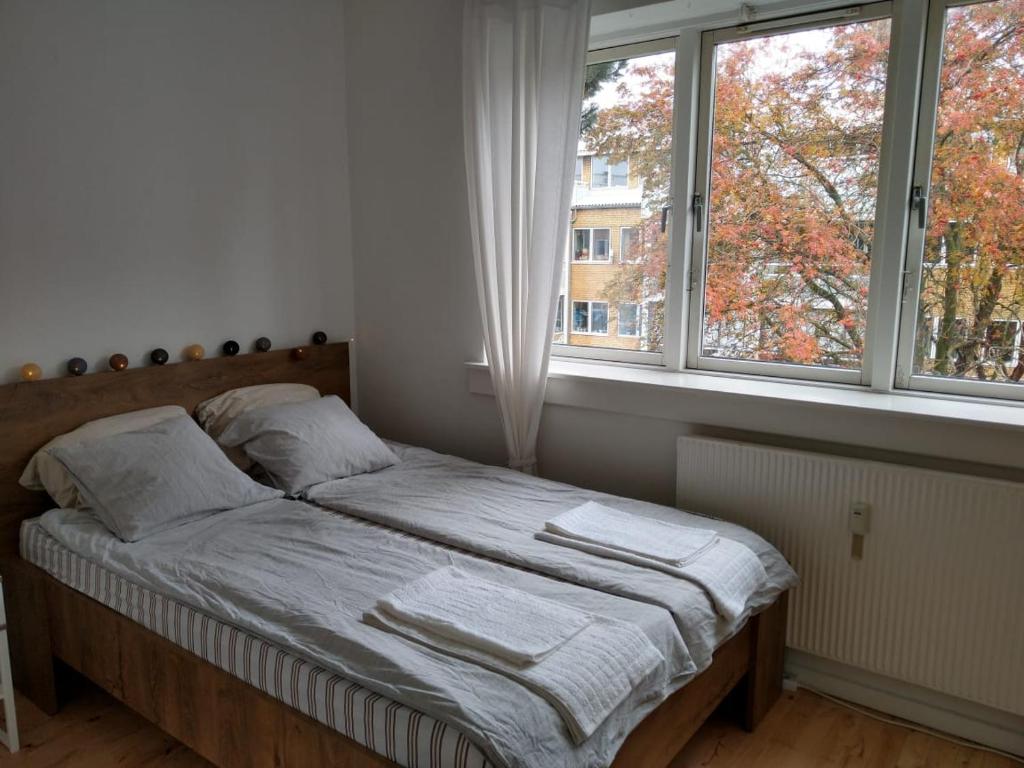 מיטה או מיטות בחדר ב-Cozy room Hvidovre
