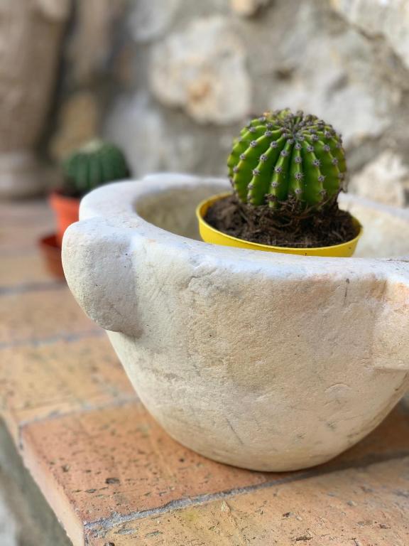 Fotografie z fotogalerie ubytování Hedera Capri B&B v destinaci Anacapri