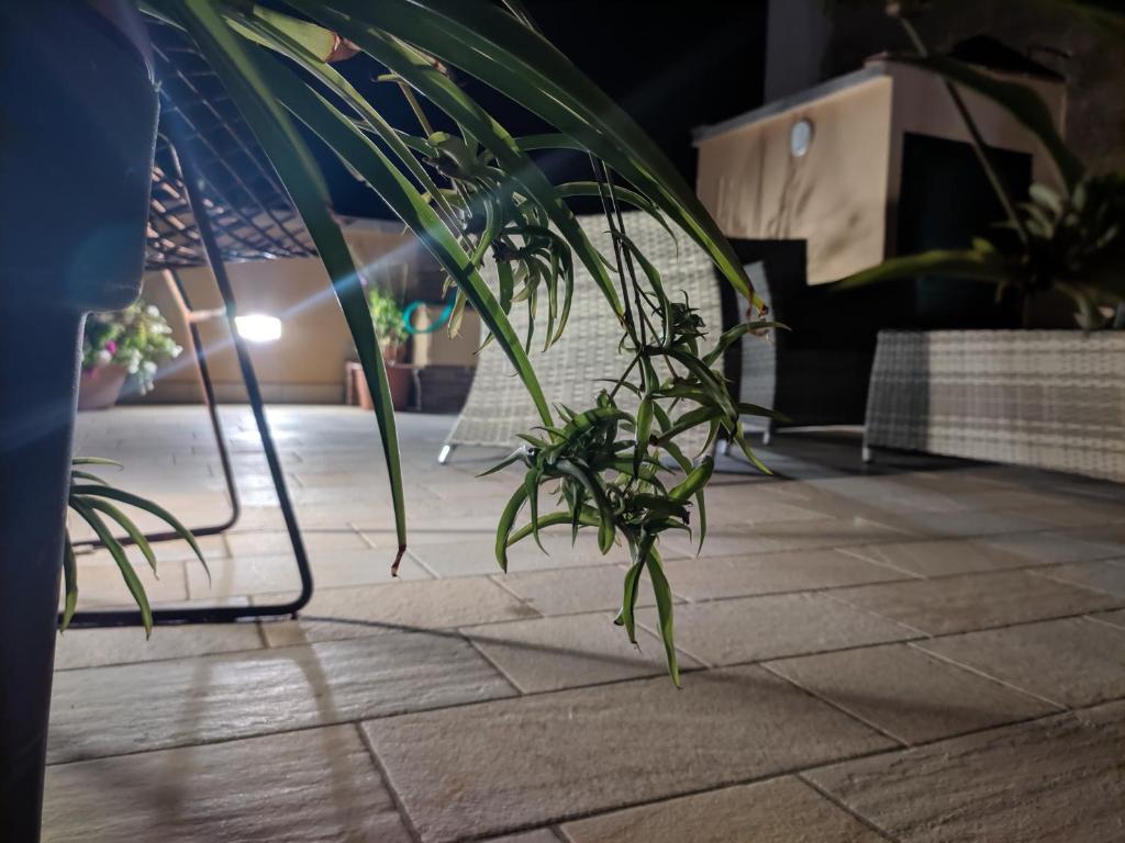 a potted plant sitting on top of a tile floor at Piazza Duomo Deluxe in Cecina