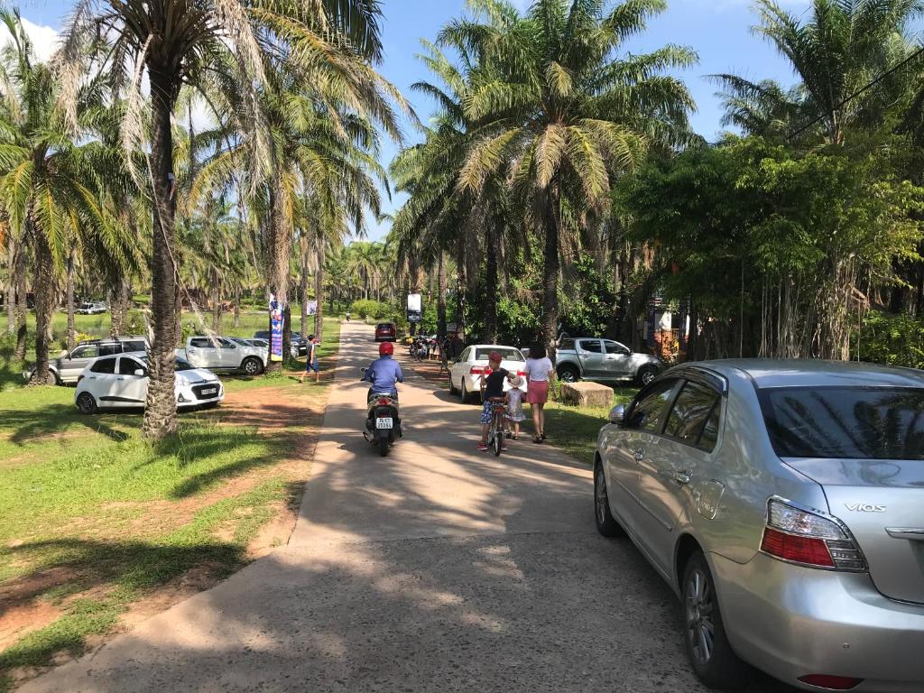 dos niños montando bicicletas por una carretera con palmeras en PALM GARDEN HOUSE en Quang Tri