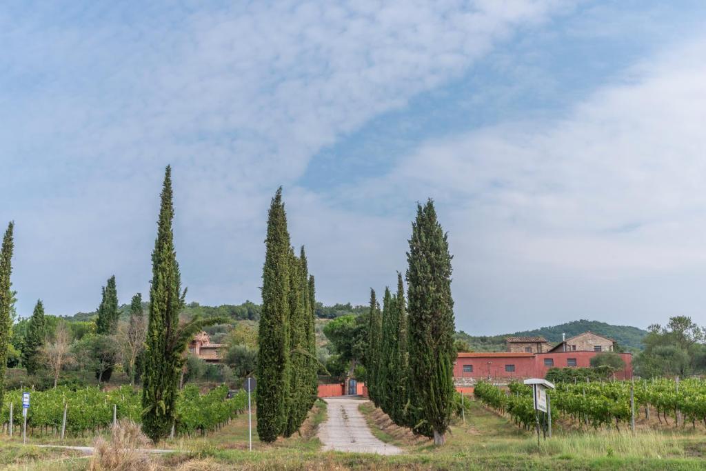 Príroda v okolí farmy