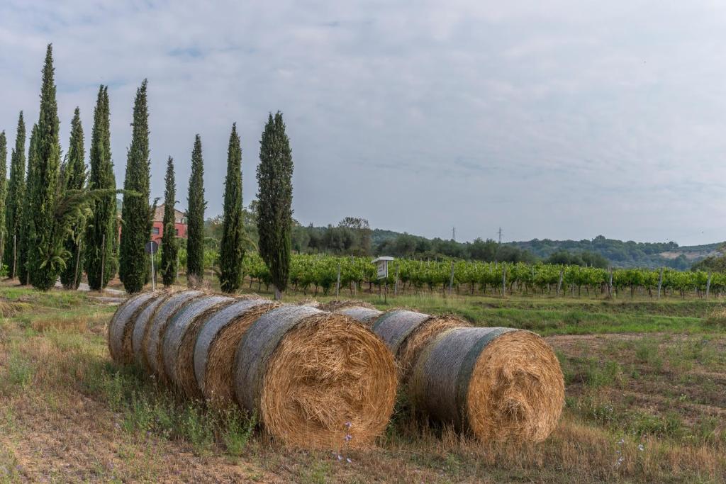 Fotografia z galérie ubytovania Agriturismo Le Case Rosse di Montebuono v destinácii Magione