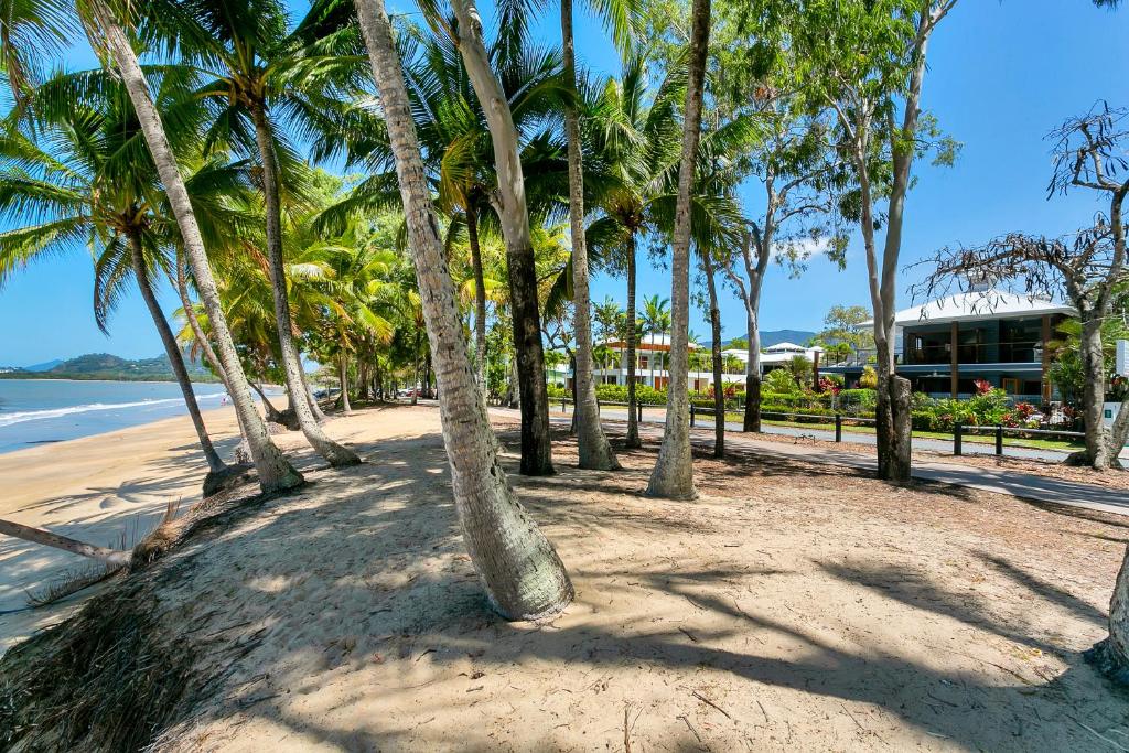 a group of palm trees on a sandy beach at Clifton Beach Holiday Villas in Clifton Beach
