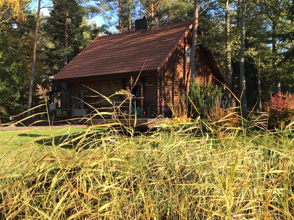Zahrada ubytování Spitham Holiday Homes