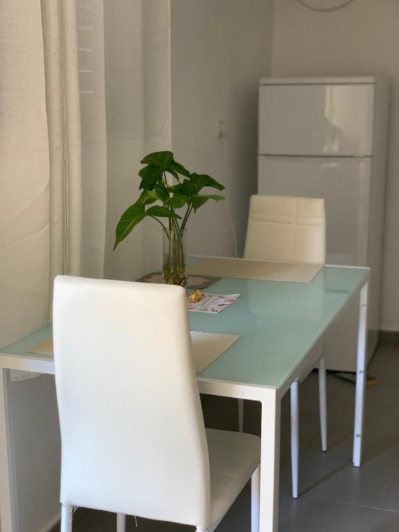 Fotografie z fotogalerie ubytování Tamar's House v destinaci Arad