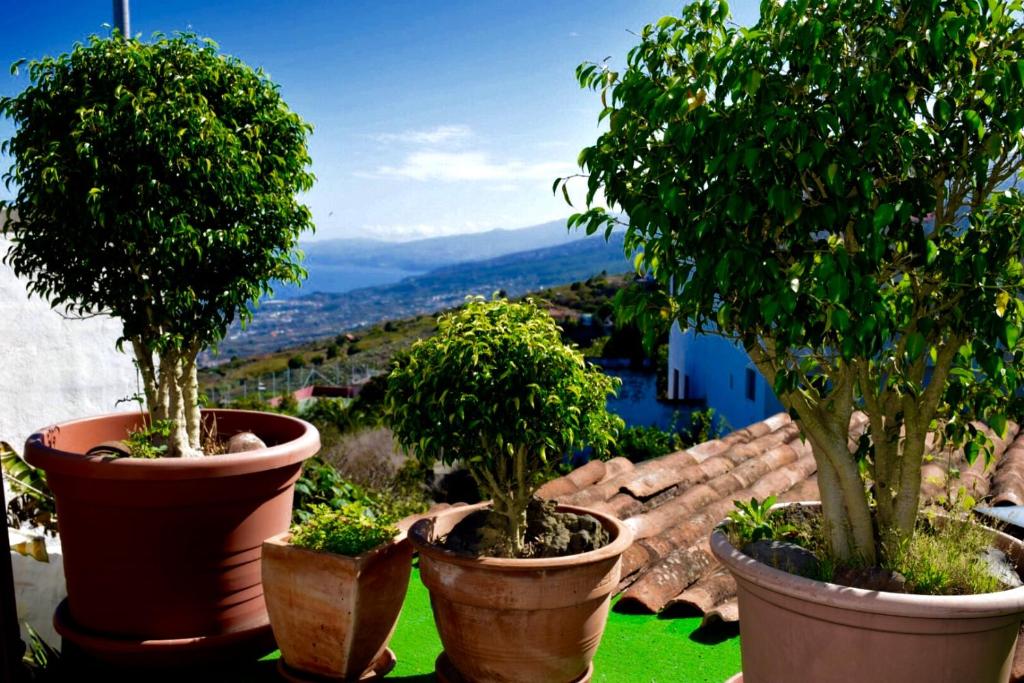 Paisaje cerca de esta casa o chalet