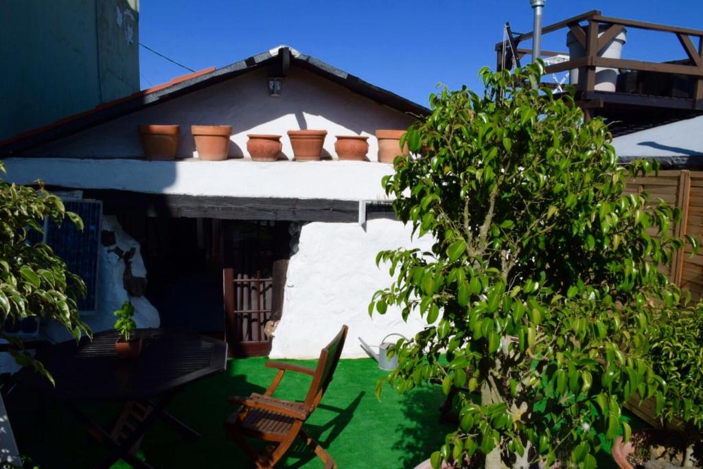 Edificio en el que se encuentra la casa o chalet