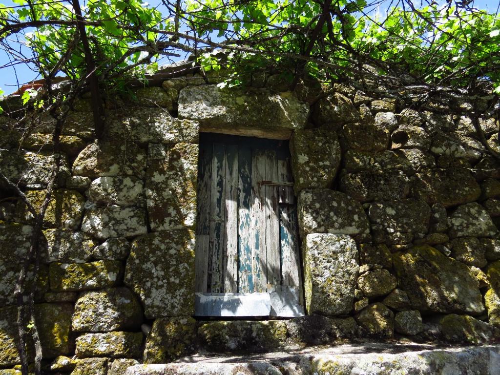 Restored, rustic and rural mini cottage in typical Portuguese