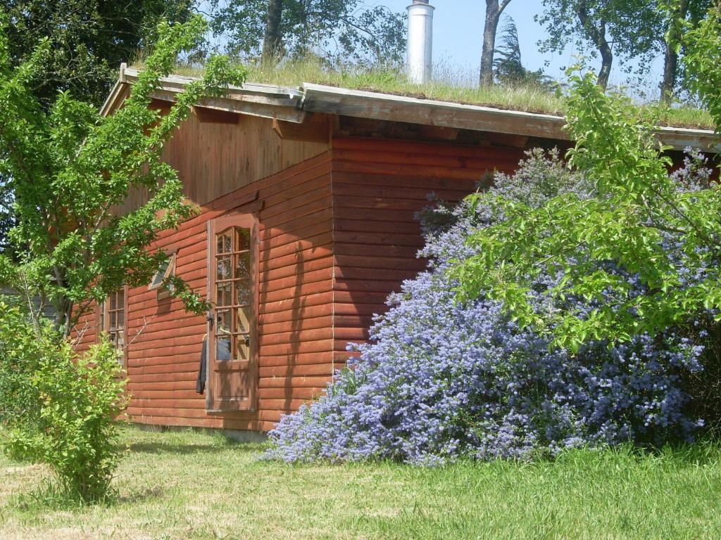 Zahrada ubytování Hostal Zapato Amarillo