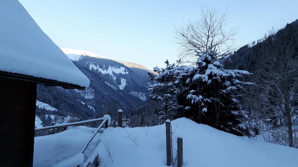 a snow covered roof of a house with a tree at Der Perweinhof in Donnersbachwald