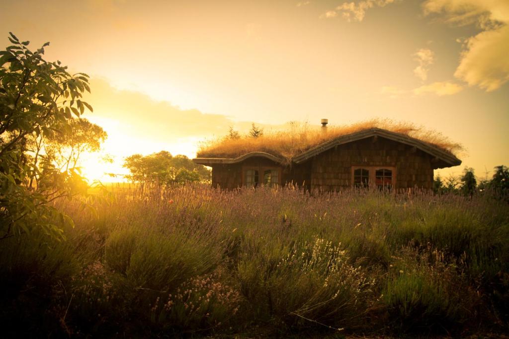Příroda nedaleko bed and breakfast