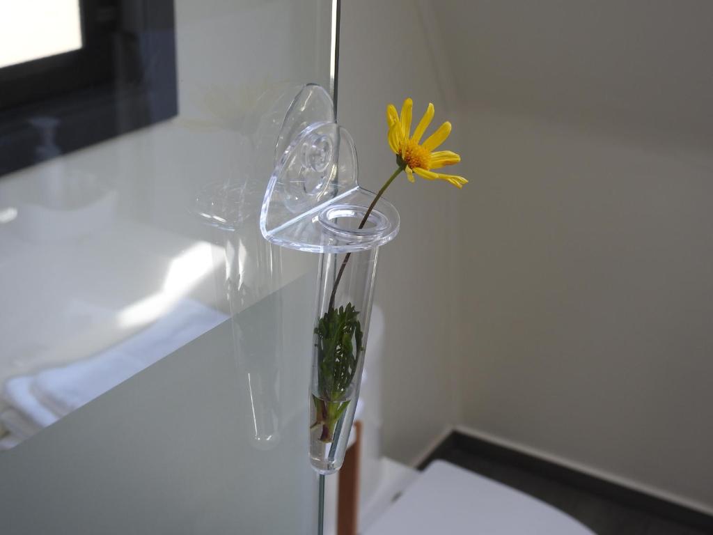 Imagem da galeria de Rucatalca Bed and Breakfast em Nancagua