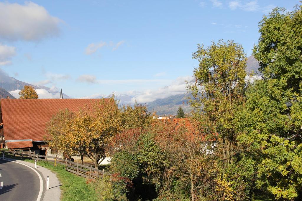 Příroda nedaleko bed and breakfast