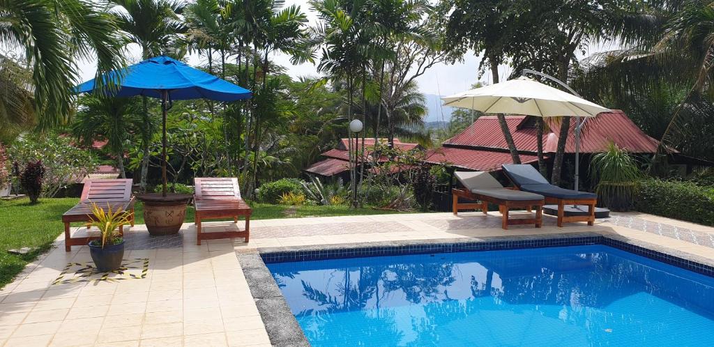 a swimming pool with chairs and umbrellas next to at Fox Hill in Kuah