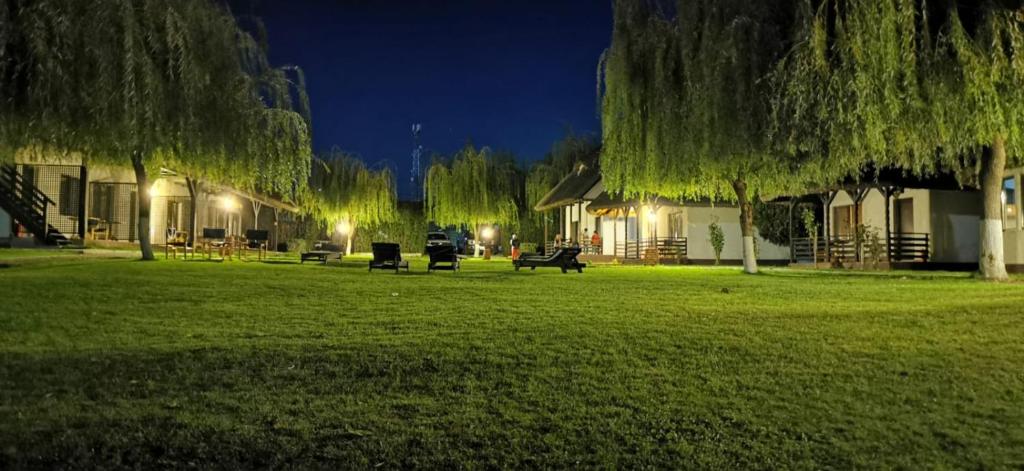 un parque de noche con casas y árboles en Casa Patru Anotimpuri, en Dunavăţu de Jos