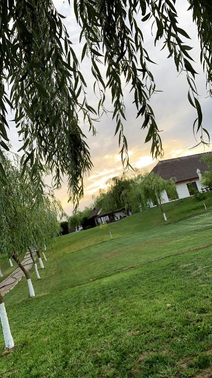 Zahrada ubytování Casa Patru Anotimpuri