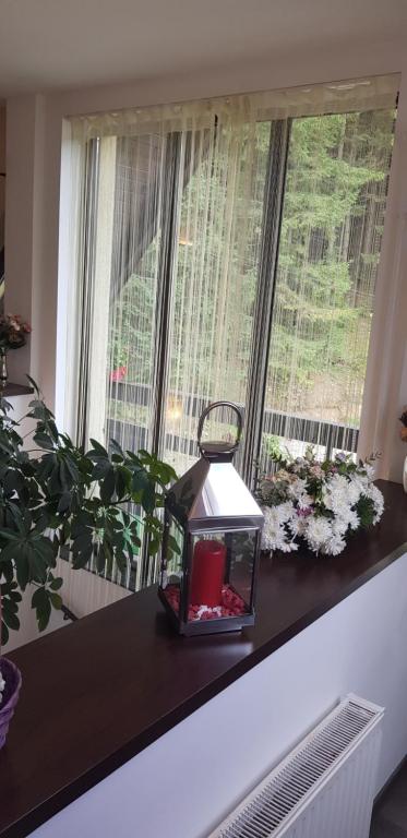 Fotografie z fotogalerie ubytování Apartament Kalinderu K1 Bușteni v destinaci Buşteni