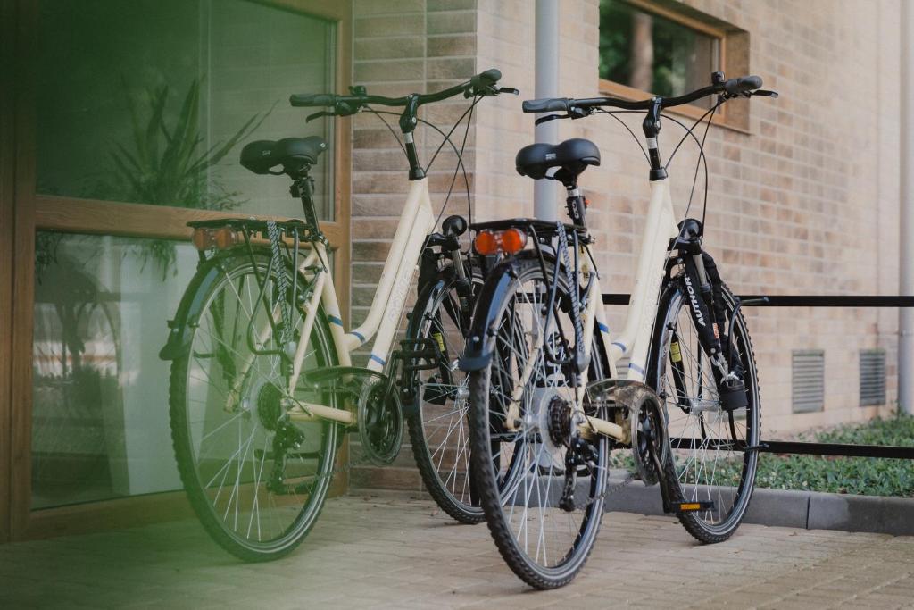 Jízda na kole v ubytování Sosnowe Tarasy nebo okolí