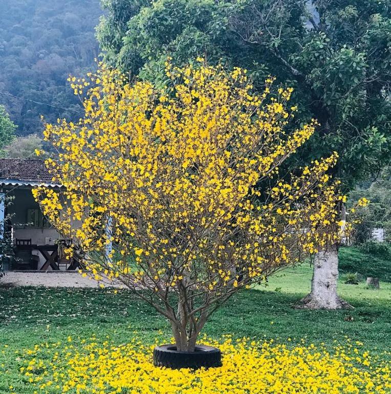  Pousada Primavera da Serra