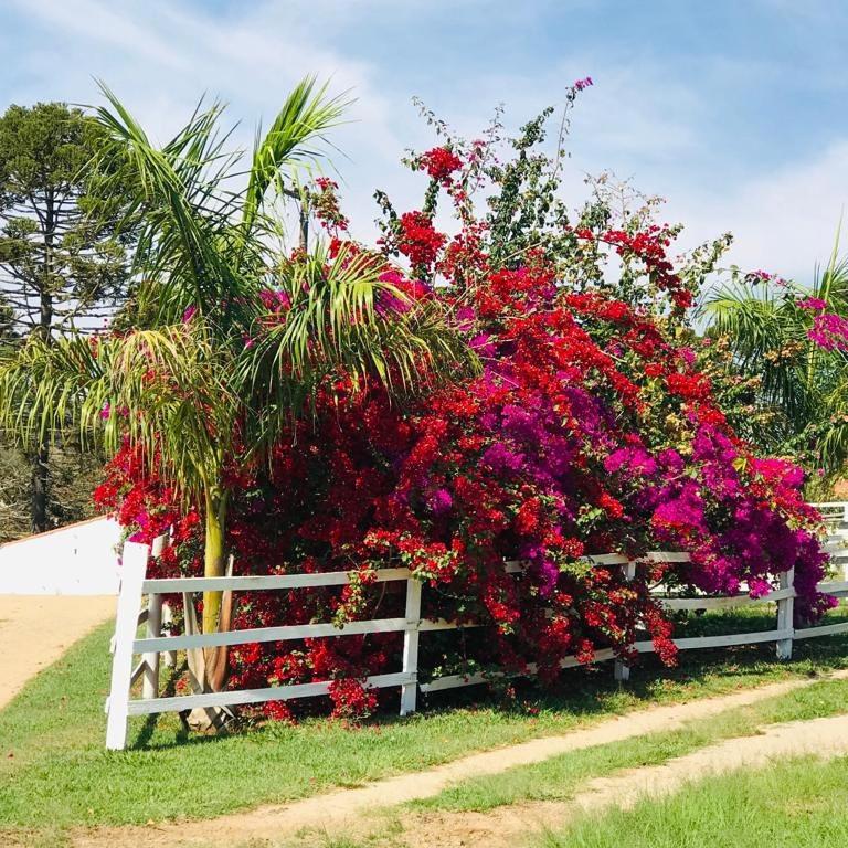  Pousada Primavera da Serra