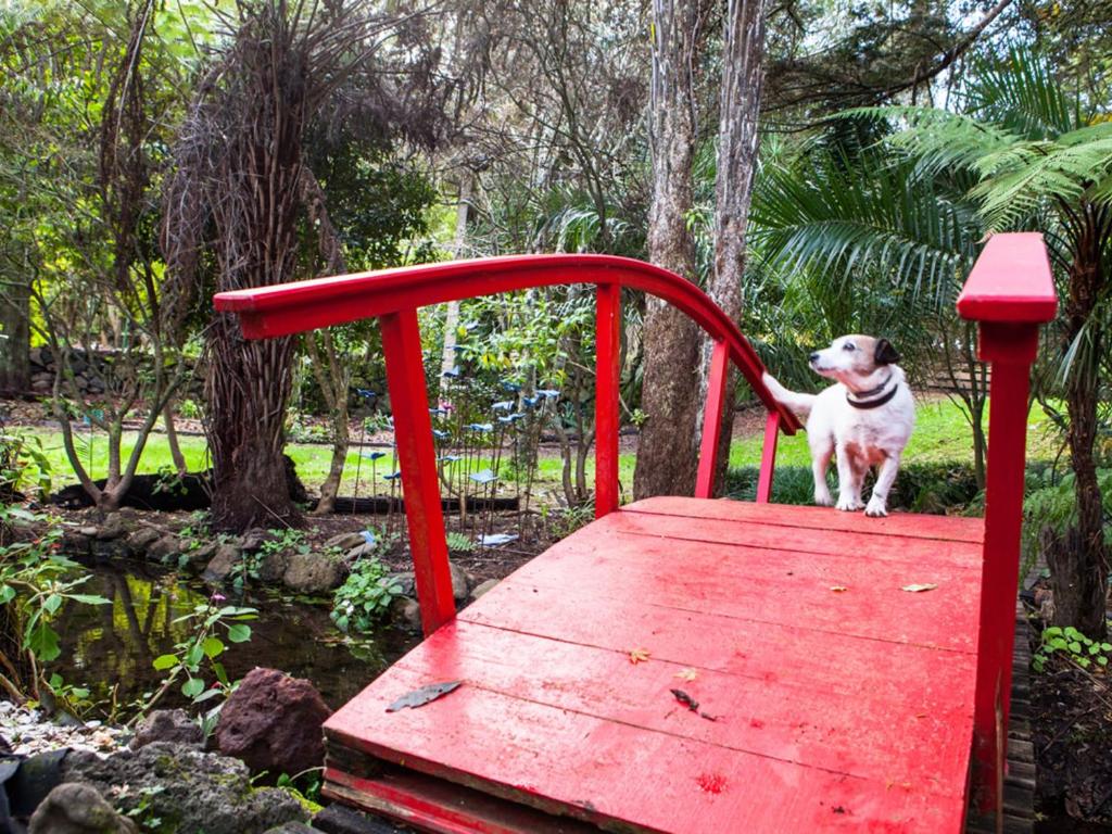 Waimoana Garden Accommodation - Resim 15