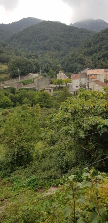 une ville au milieu d'un champ d'arbres dans l'établissement ,A cantinella, une cave a fromage au centre corse, à Santa-Lucia-di-Mercurio