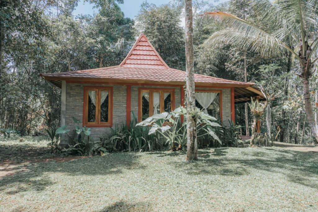 Zahrada ubytování Saridevi Ecolodge