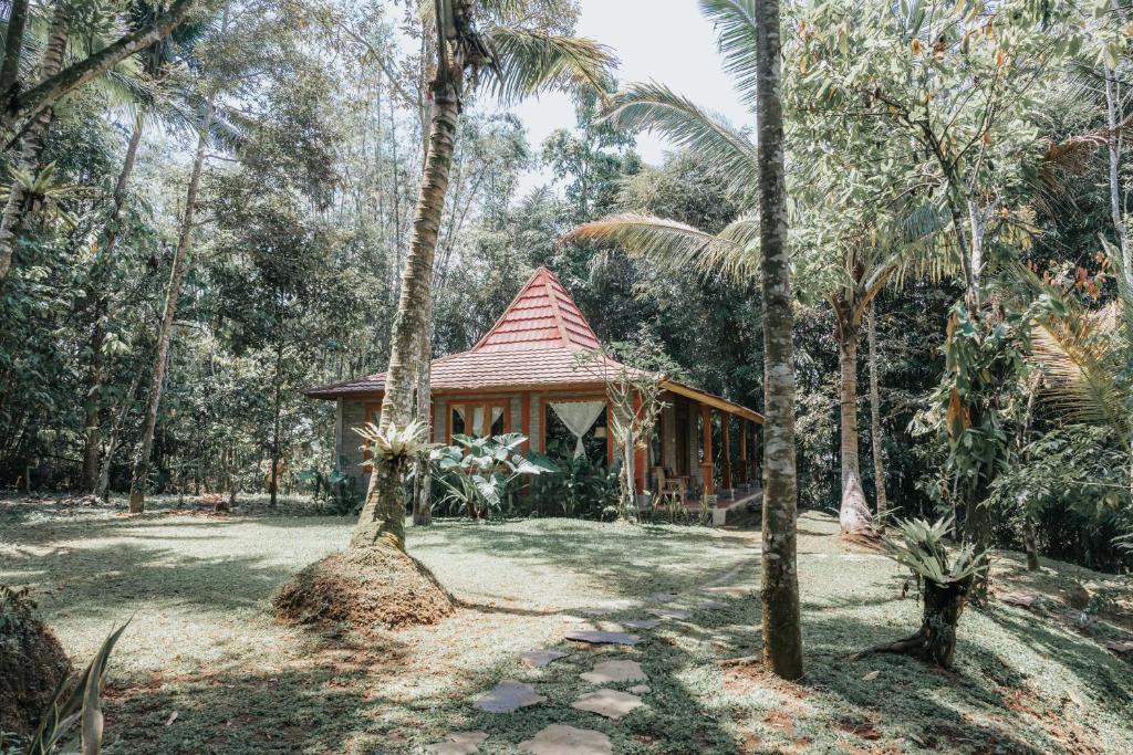 Puutarhaa majoituspaikan Saridevi Ecolodge ulkopuolella