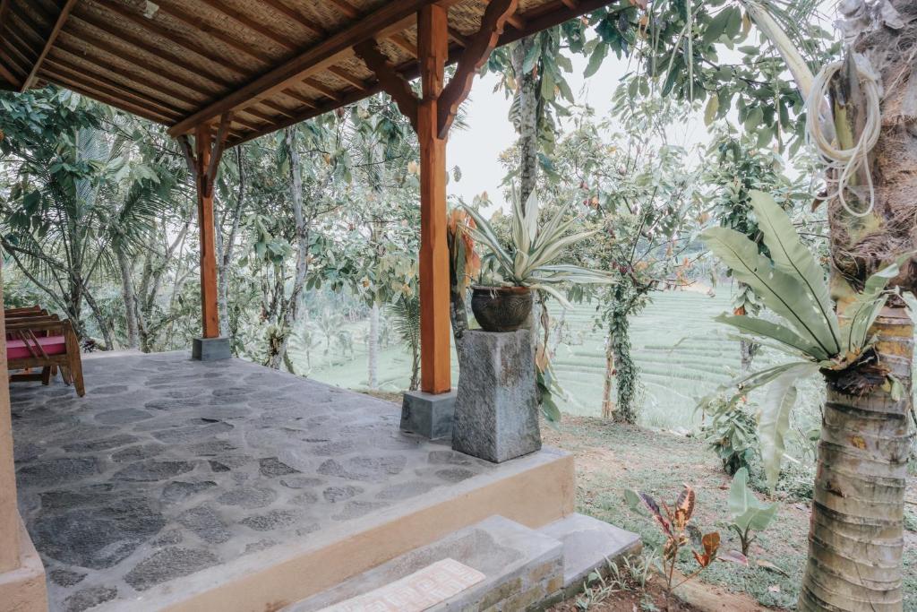 Zahrada ubytování Saridevi Ecolodge
