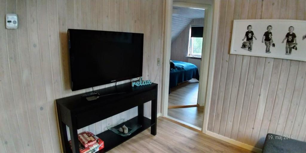 TV a/nebo společenská místnost v ubytování Lenes logi