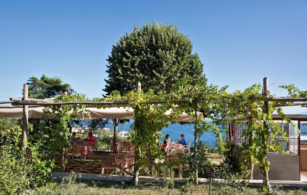 Zahrada ubytování Capri Wine Hotel