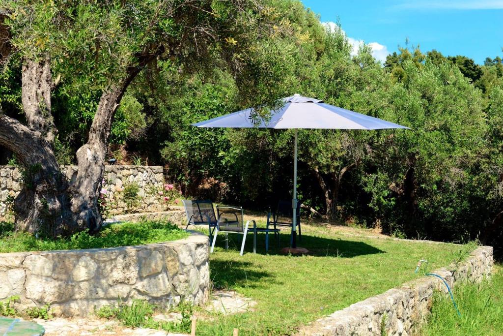 Vonkajšia záhrada v ubytovaní Olive stone Villa