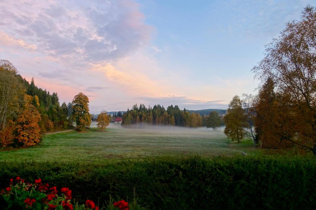 Příroda nedaleko bed and breakfast