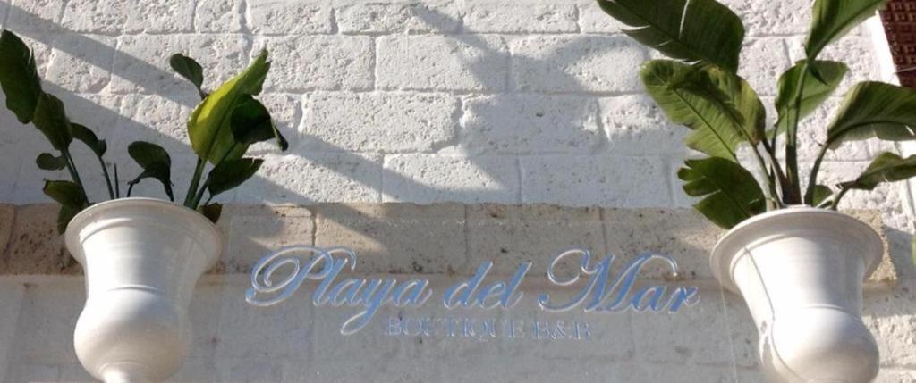 two white vases with plants in them on a wall at Playa del Mar - Adults Only in Monopoli
