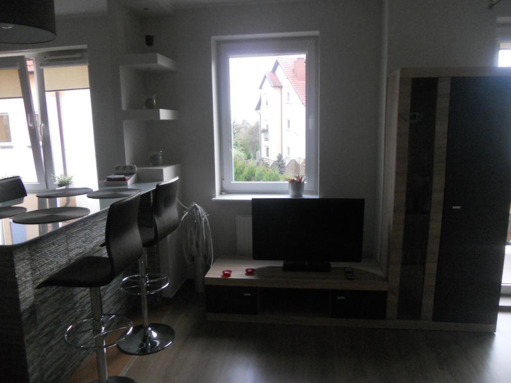 Kuchyň nebo kuchyňský kout v ubytování Apartament-Studio