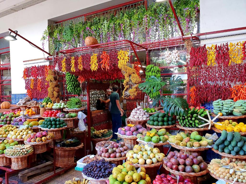 Agnelo Comfort - Accommodation H V - 10