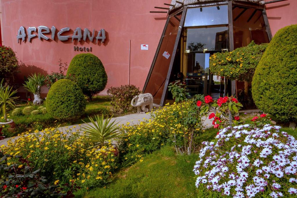 Zahrada ubytování Africana Hotel & Spa
