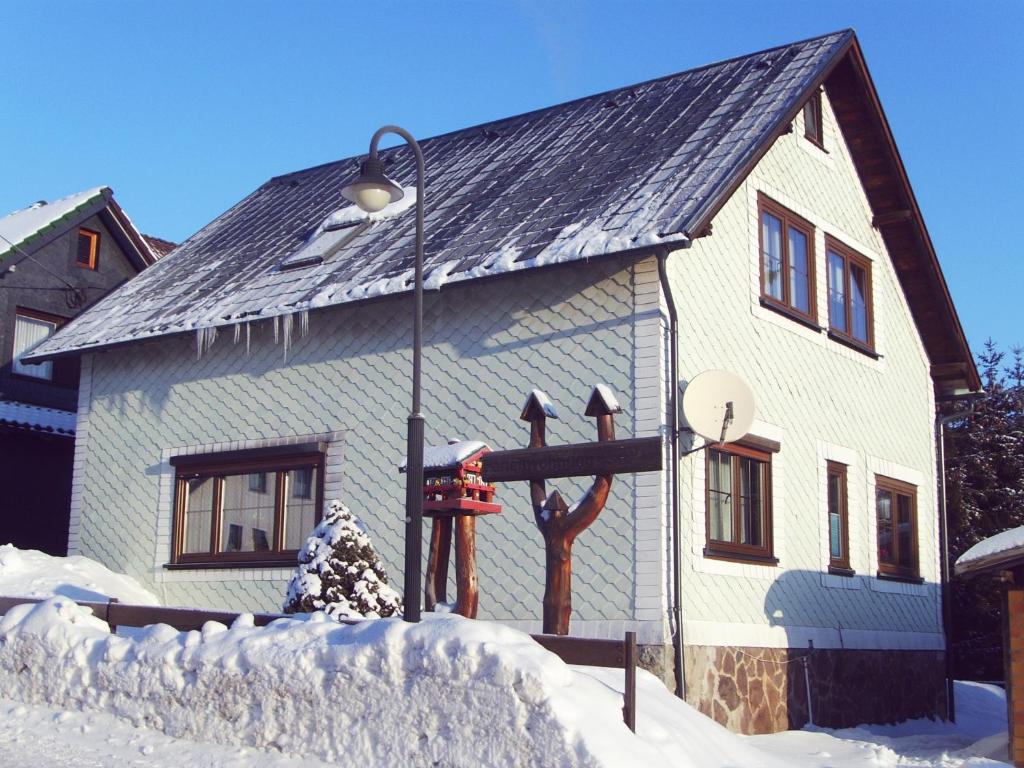 a house with a light pole in the snow at Ferienwohnung Peter Engelhardt in Schmiedefeld am Rennsteig