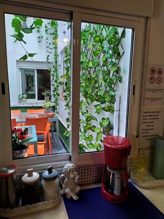 Kuchyňa alebo kuchynka v ubytovaní Málaga Centro Hostel