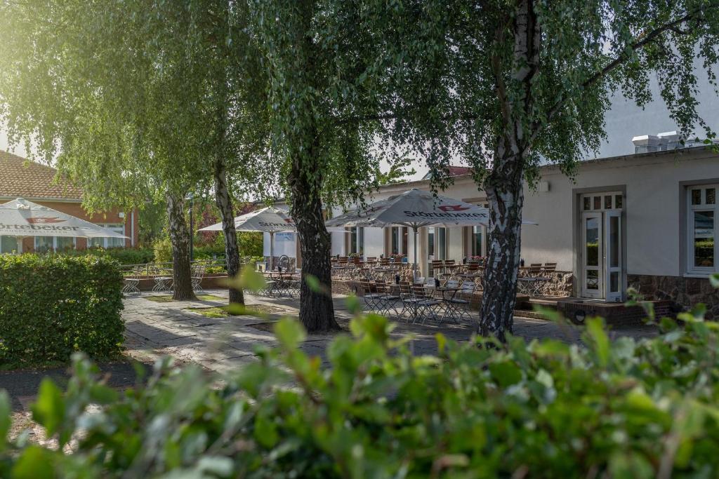 Zahrada ubytování Hotel Rügenblick