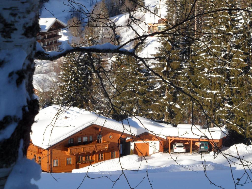 Appartement Hartl v zime