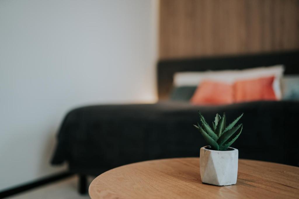 Apricot Luxe Apartments - 工作室公寓