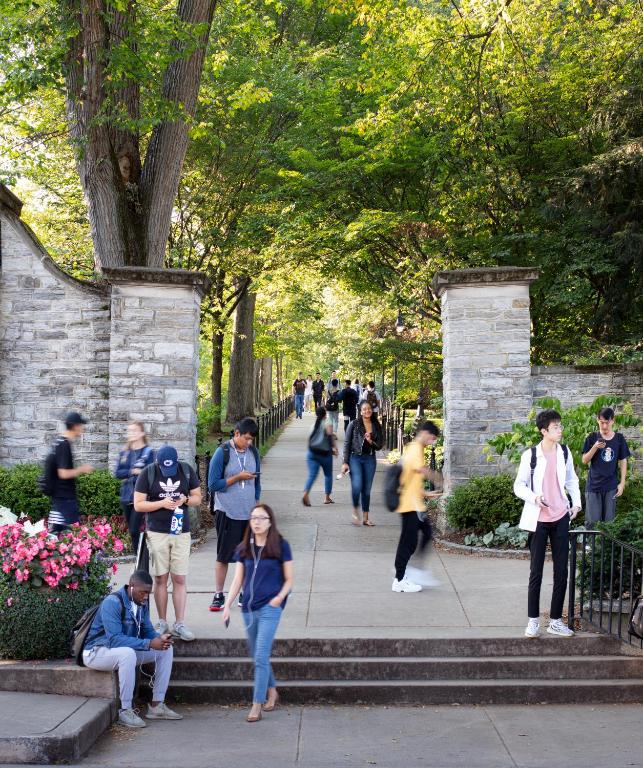 Graduate by Hilton State College photo