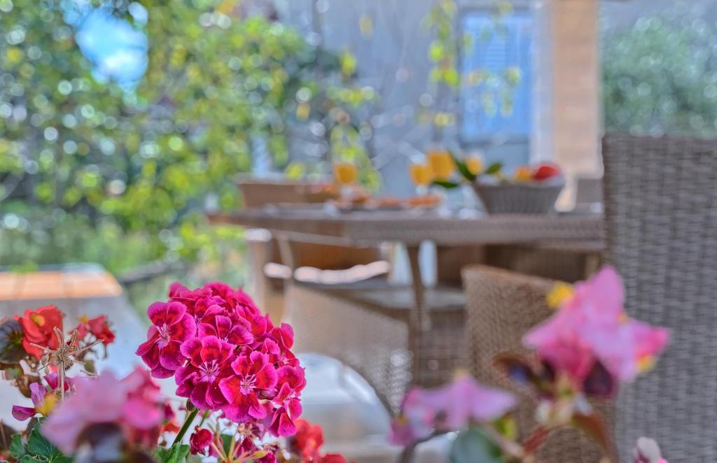 Zahrada ubytování Apartmani MARINA