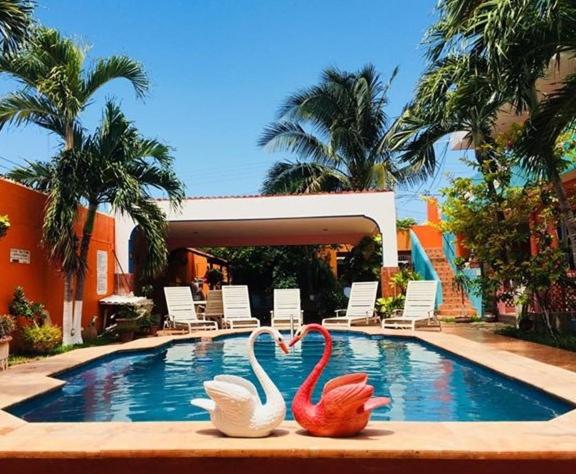 dos flamencos están sentados junto a una piscina en Hotel Maria's Nicte Ha, en Progreso