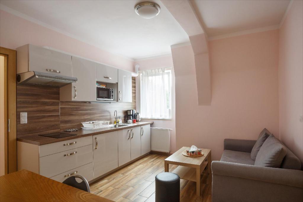 kuchnia i salon z kanapą i stołem w obiekcie Diana Apartments Karlovy Vary w Karlowych Warach