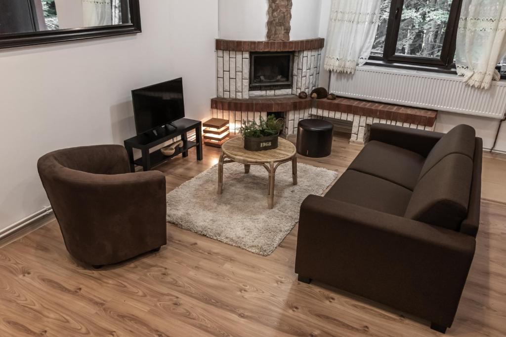 sala de estar con 2 sofás y chimenea en Elatos Luxury Villas Erato en Sinaia