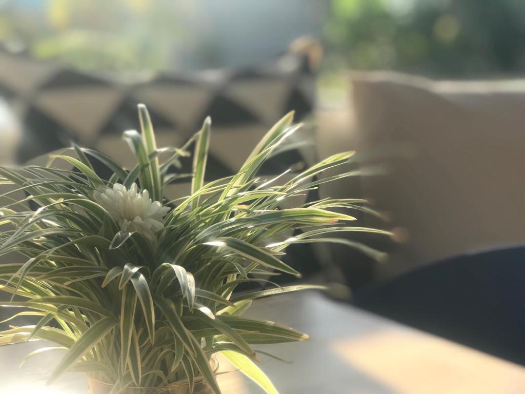 Aonang Eco Villa - 19