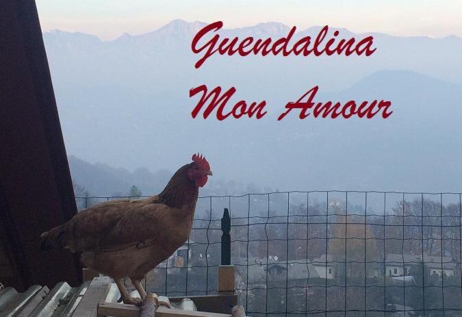 un pollo parado sobre una valla en Guendalina Mon Amour, en Roncola